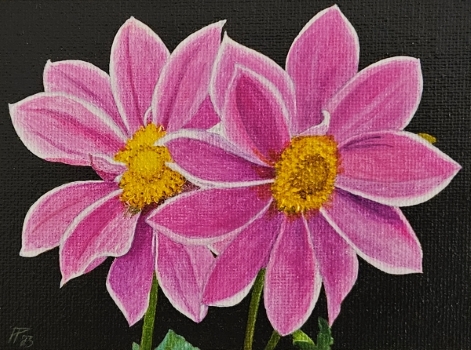 Flores 5